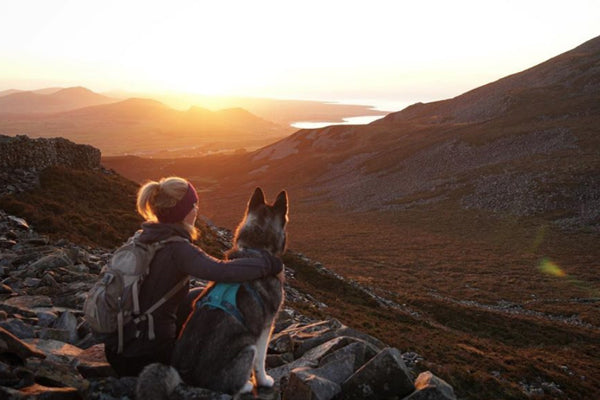 The Art of Resilience